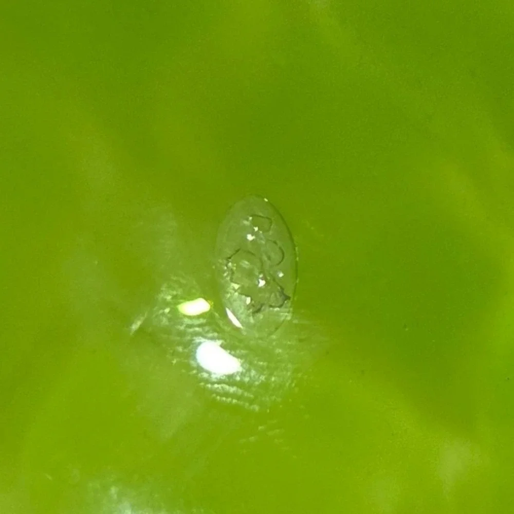 N/A vintage green